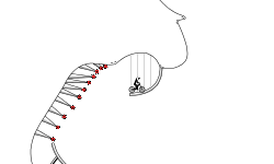 My first wheely track!