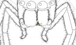 Jumping Spider