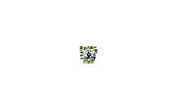 iuoui