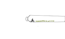 CannonBall Simulator