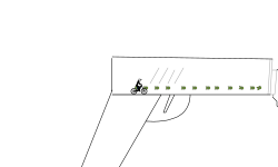 Shoot