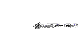 Nature terrain (desc)