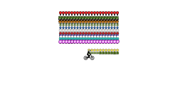 Free Rider