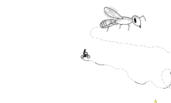 Bee Trail | Hold Up