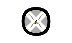 The X-men