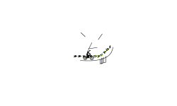 Auto jeff 20