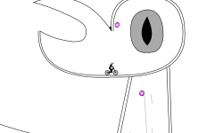 burden of the bird