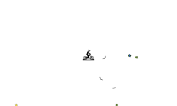 auto with non decor