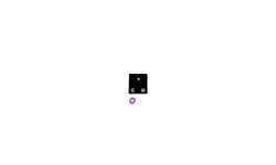 Black Box.