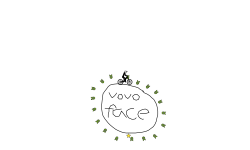 vovoface 5