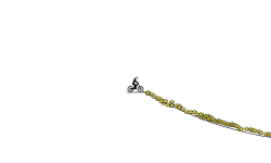 star rode and 100% die