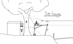 BMX Tree house