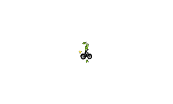 READ DESCRIPTION:  tidbits
