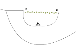 Bunny Hop