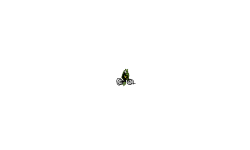 near death experience