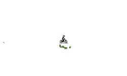 bomb (auto)