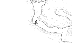 Bones