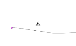 Race