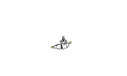 The eye