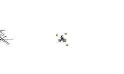 Spin