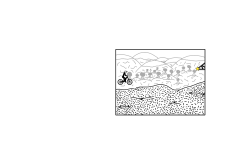 Hills