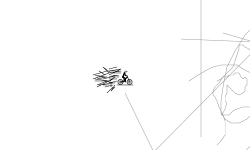 Yolo gravity