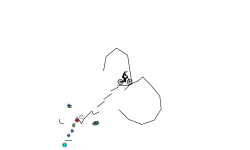 Short auto