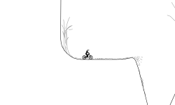 Forest alone