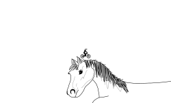My Horse Beauty