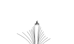 long drop