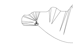 Spikes Freeride