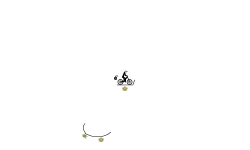 Zipline to survive