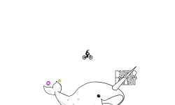 Narwhal