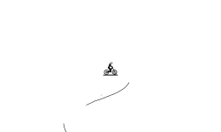 Wheelie