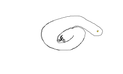 Slipperylines