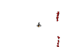 Flappy palin