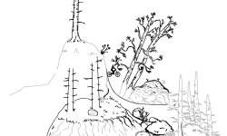 plantation.noitatnalp
