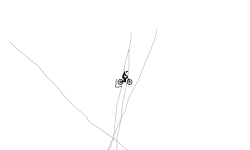 dont move