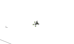 short auto