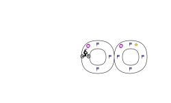 Challenge #4