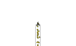 500 star