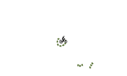 free ride III