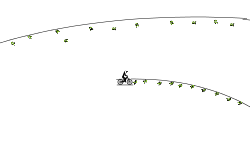 1º corrida nub