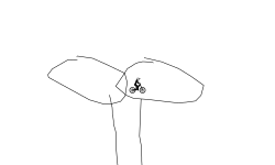 long pe   nis
