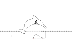 Short Dolphin Trial (desc)