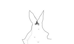mini preview !!