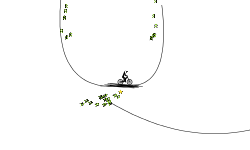 Half-pipe craze