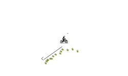 A small auto