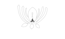 waratahs
