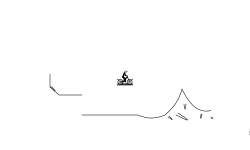 proof of concept